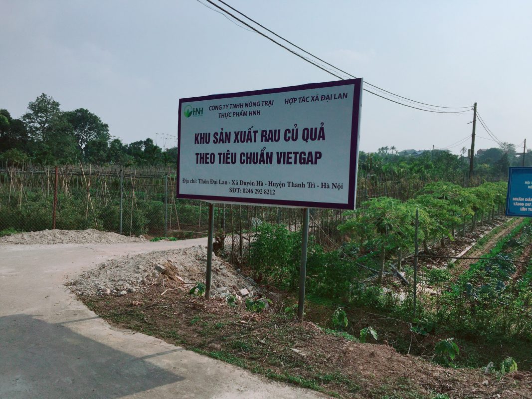 Khu sản xuất rau củ quả theo tiêu chuẩn Vietgap của HNH Foodfarm
