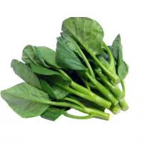 Mồng tơi