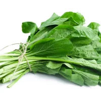 Cải Ngọt
