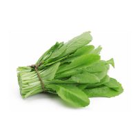 Cải Canh