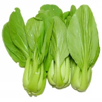 Cải Chíp