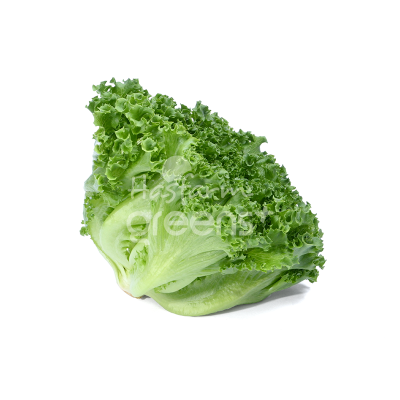 Xà lách (gói 300gr)