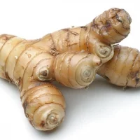 Riềng củ
