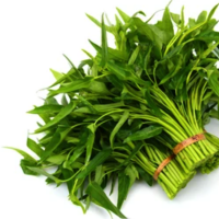 Rau muống