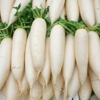 Củ Cải Trắng