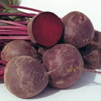 Củ dền đỏ Đà Lạt